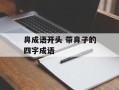 鼻成语开头 带鼻子的四字成语