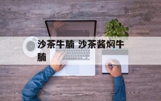 沙茶牛腩 沙茶酱焖牛腩