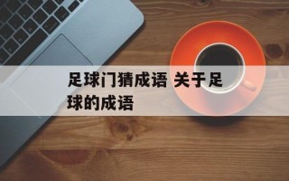 足球门猜成语 关于足球的成语