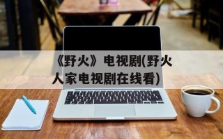 《野火》电视剧(野火人家电视剧在线看)