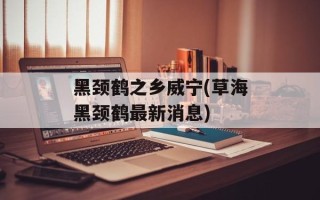 黑颈鹤之乡威宁(草海黑颈鹤最新消息)