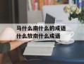 马什么南什么的成语 什么放南什么成语