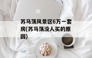苏马荡风景区6万一套房(苏马荡没人买的原因)