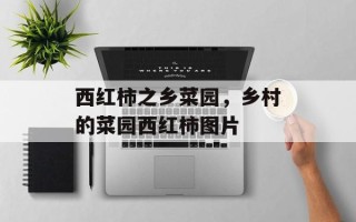 西红柿之乡菜园，乡村的菜园西红柿图片