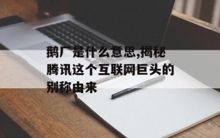 鹅厂是什么意思,揭秘腾讯这个互联网巨头的别称由来