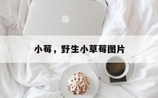小莓，野生小草莓图片