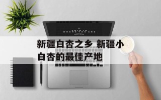 新疆白杏之乡 新疆小白杏的最佳产地