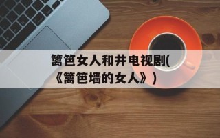 篱笆女人和井电视剧(《篱笆墙的女人》)