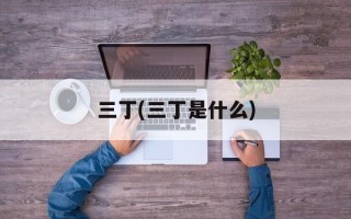 三丁(三丁是什么)