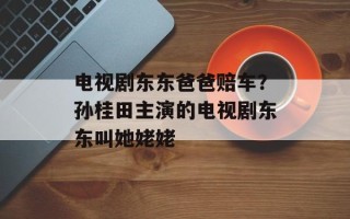 电视剧东东爸爸赔车？孙桂田主演的电视剧东东叫她姥姥