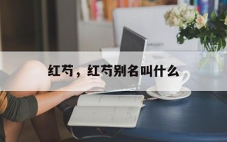 红芍，红芍别名叫什么