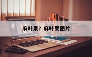 麻叶果？麻叶果图片