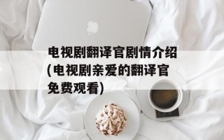 电视剧翻译官剧情介绍(电视剧亲爱的翻译官免费观看)