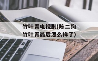 竹叶青电视剧(陈二狗竹叶青最后怎么样了)