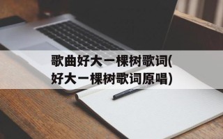 歌曲好大一棵树歌词(好大一棵树歌词原唱)