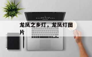 龙凤之乡灯，龙凤灯图片