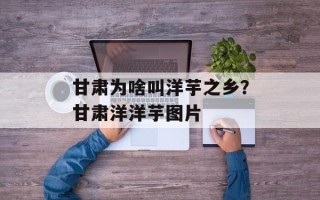 甘肃为啥叫洋芋之乡？甘肃洋洋芋图片