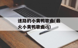 迷路的小黄鸭歌曲(最火小黄鸭歌曲dj)