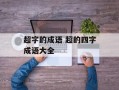 超字的成语 超的四字成语大全