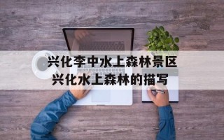 兴化李中水上森林景区 兴化水上森林的描写