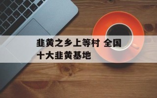 韭黄之乡上等村 全国十大韭黄基地