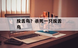 反舌鸟？杀死一只反舌鸟