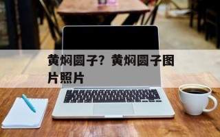 黄焖圆子？黄焖圆子图片照片