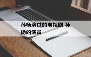 孙杨演过的电视剧 孙杨的演员
