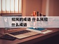 招风的成语 什么风招什么成语