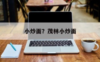 小炒面？茂林小炒面