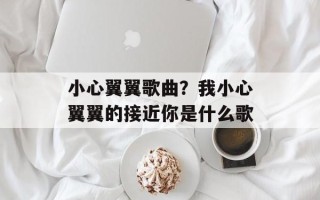 小心翼翼歌曲？我小心翼翼的接近你是什么歌