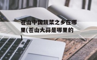 苍山中国蔬菜之乡在哪里(苍山大蒜是哪里的)