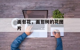 面包花，面包树的花图片