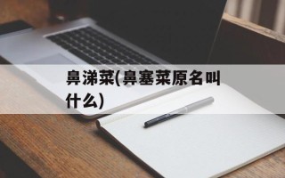 鼻涕菜(鼻塞菜原名叫什么)
