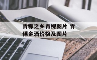 青稞之乡青稞图片 青稞金酒价格及图片
