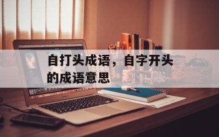 自打头成语，自字开头的成语意思