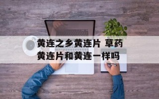 黄连之乡黄连片 草药黄连片和黄连一样吗