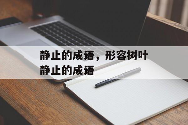 静止的成语，形容树叶静止的成语-第1张图片-