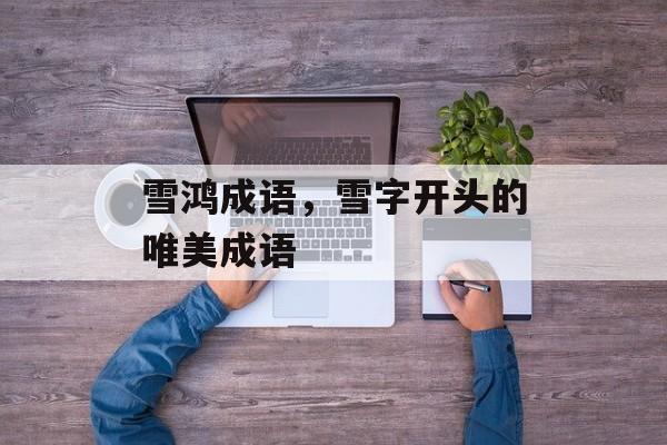 雪鸿成语，雪字开头的唯美成语-第1张图片-