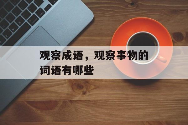 观察成语，观察事物的词语有哪些-第1张图片-