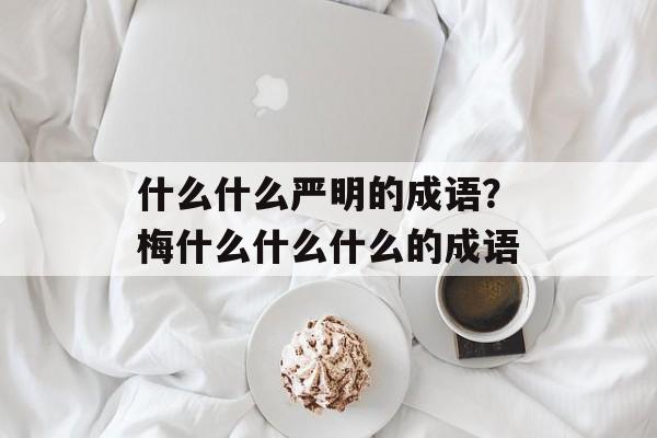 什么什么严明的成语？梅什么什么什么的成语-第1张图片-