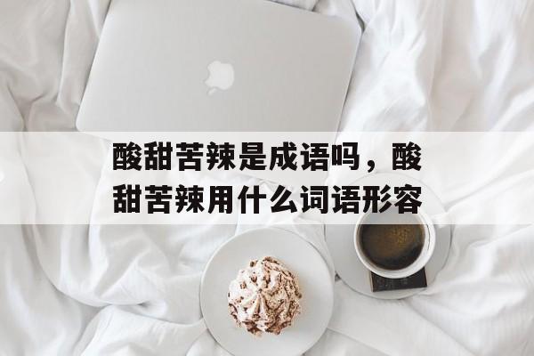 酸甜苦辣是成语吗，酸甜苦辣用什么词语形容-第1张图片-