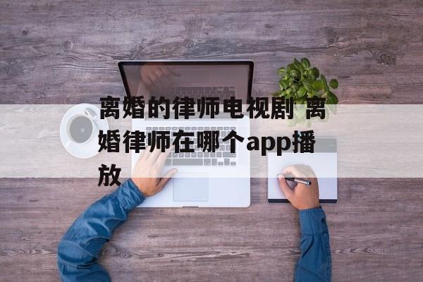 离婚的律师电视剧 离婚律师在哪个app播放-第1张图片-