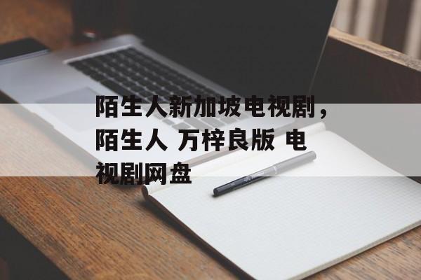 陌生人新加坡电视剧，陌生人 万梓良版 电视剧网盘-第1张图片-