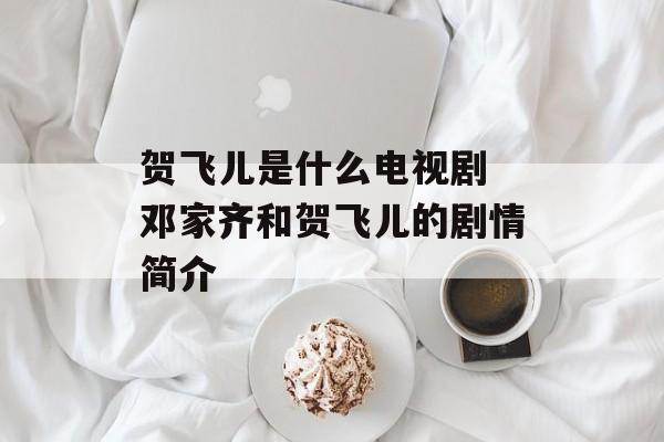 贺飞儿是什么电视剧 邓家齐和贺飞儿的剧情简介-第1张图片-