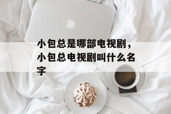 小包总是哪部电视剧，小包总电视剧叫什么名字-第1张图片-