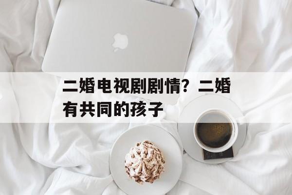 二婚电视剧剧情？二婚有共同的孩子-第1张图片-