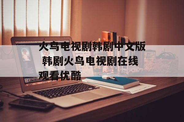 火鸟电视剧韩剧中文版 韩剧火鸟电视剧在线观看优酷-第1张图片-