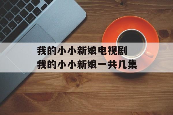 我的小小新娘电视剧 我的小小新娘一共几集-第1张图片-