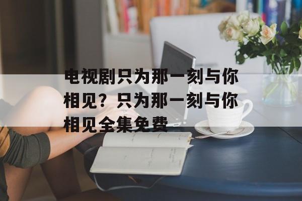 电视剧只为那一刻与你相见？只为那一刻与你相见全集免费-第1张图片-